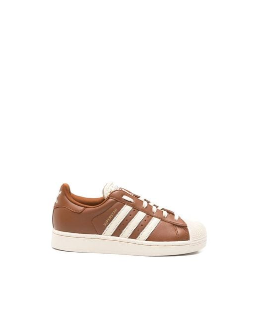 Adidas Brown Sneakers