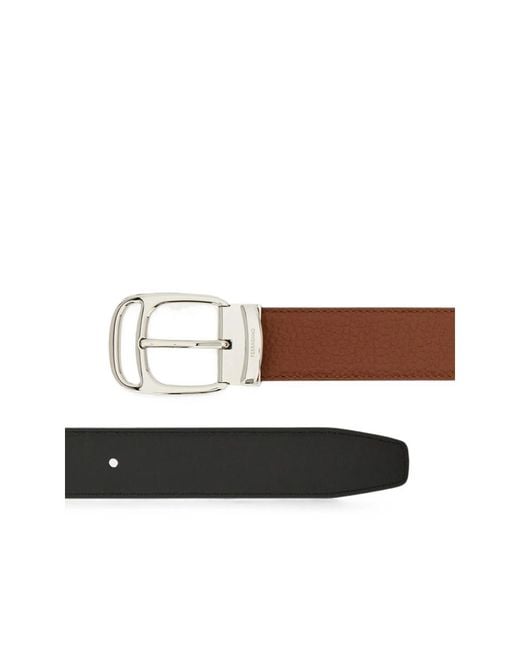 Ferragamo Brown Belts for men