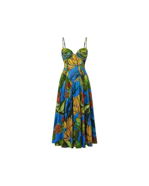 Farm Rio Blue Floral-Print Maxi Dress
