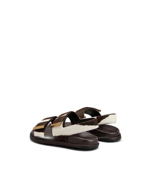 Tod's Brown Shoes