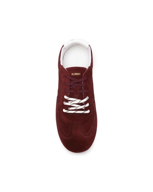 Alohas Brown Tb24 Suede Sneakers