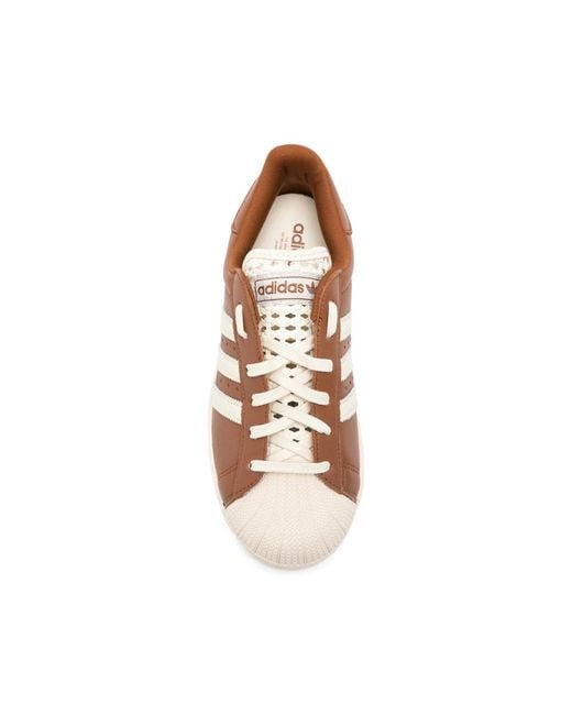 Adidas Brown Sneakers
