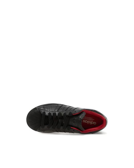 Adidas Sneakers Black for men
