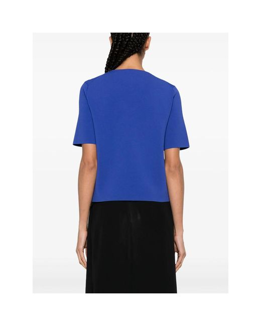 Theory Blue Tops