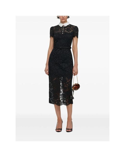 Self-Portrait Black Lace Contrast Collar Midi Dress