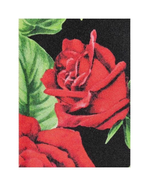 Dolce & Gabbana Red Rose-Print Scarf