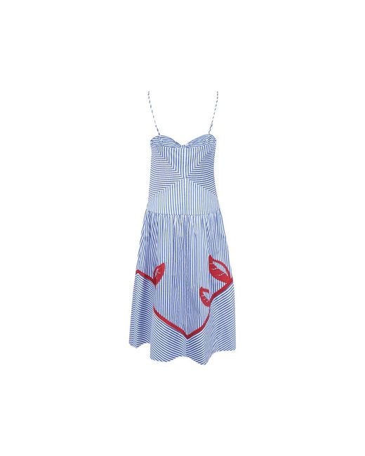 Farm Rio Blue Stripe-Print Appliqué Dress