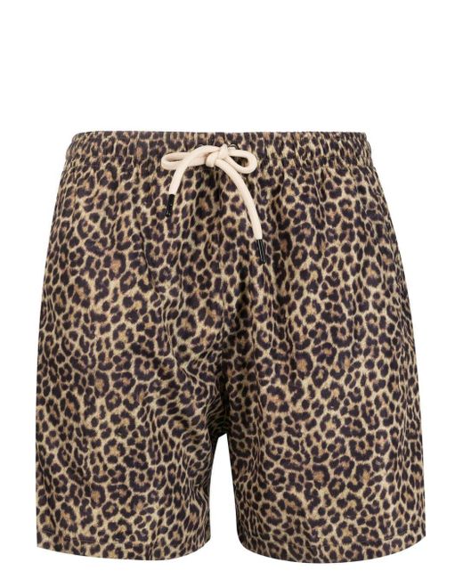 MATINEÉ Gray Leopard-Print Swim Shorts for men