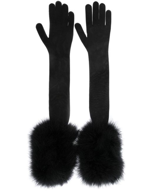 Saint Laurent Black Feather-Detailed Semi-Sheer Long Gloves