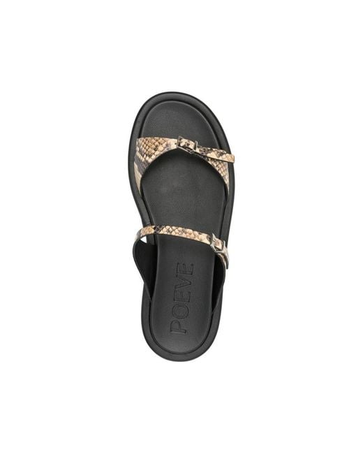 Poeve Black Buckle Sandals