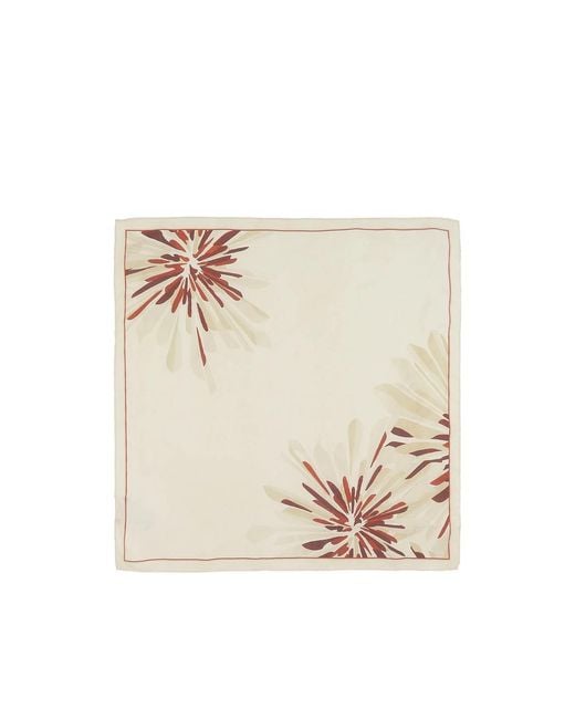 Brunello Cucinelli Natural Neutrals Scarves