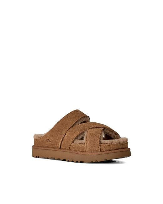 Ugg Brown Slippers Greenport Che