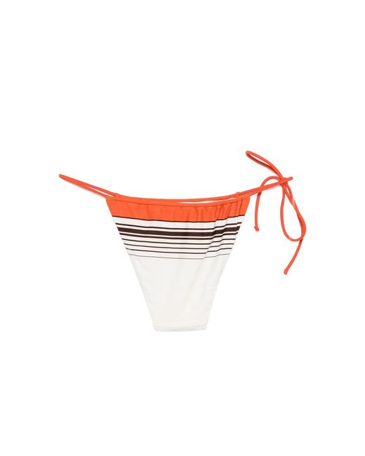 Sir Red Destino Striped-Pattern Bikini Bottom