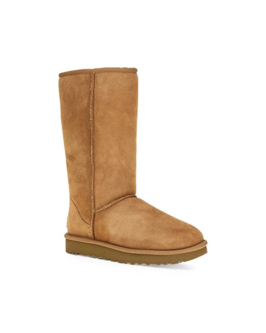 Ugg Brown Classic Tall Ii Boots