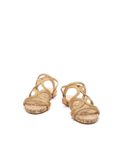 Castaner Brown Shoes