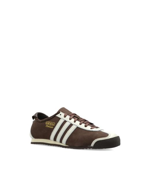 Adidas Brown Sneaker for men