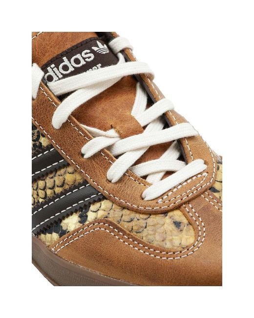 Adidas Brown X Wales Bonner Gazelle Snake Low-Top Sneakers for men