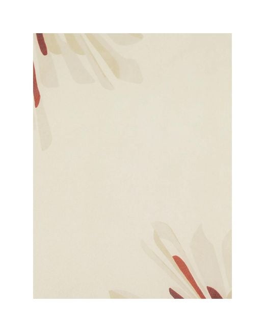 Brunello Cucinelli Natural Neutrals Scarves