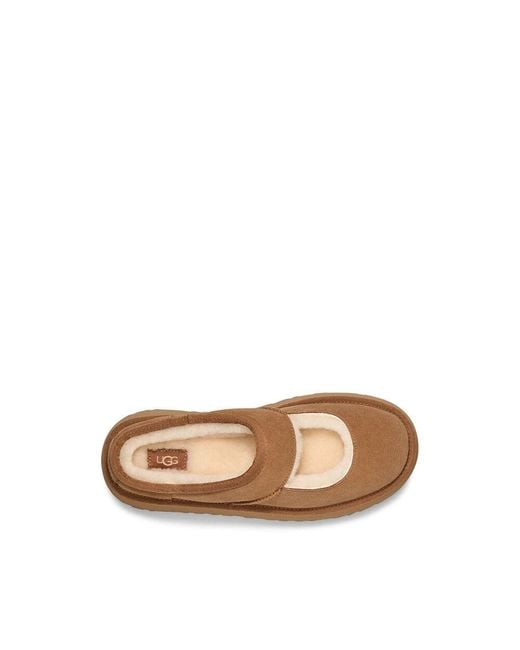 Ugg Brown Bea Slippers