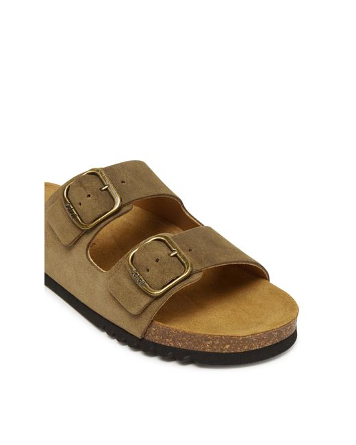 Scholl Brown Pantoletten Josephine F32165