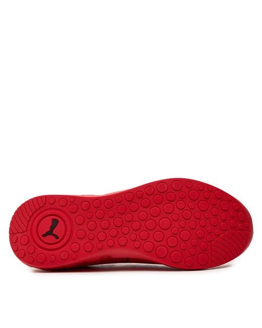 PUMA Laufschuhe Softride Carson 310154 03 in Red für Herren
