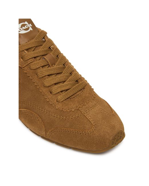 COACH Brown Sneakers Ccn30
