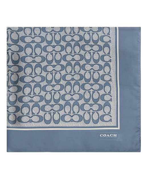 COACH Blue Tuch 29C2755