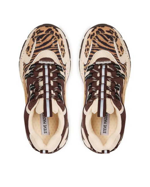 Steve Madden Brown Sneakers Animates-L Sm11004762