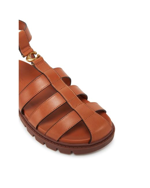 COACH Brown Sandalen Car69