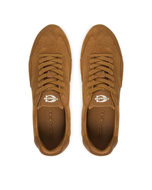 COACH Brown Sneakers Ccn30