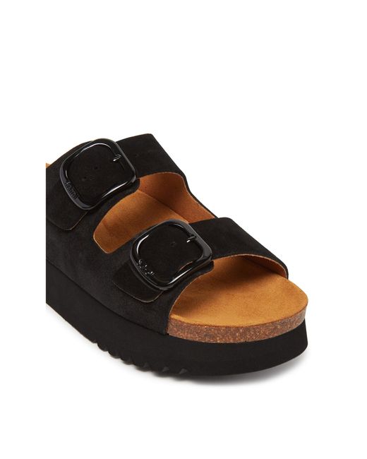 Scholl Black Pantoletten Lucie F31580
