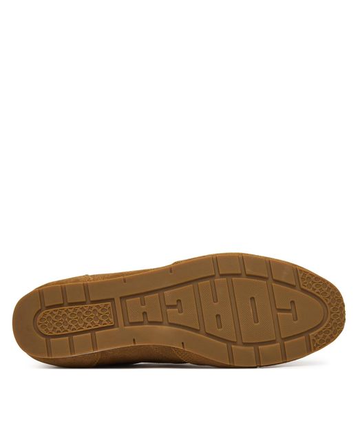 COACH Brown Sneakers Ccn30