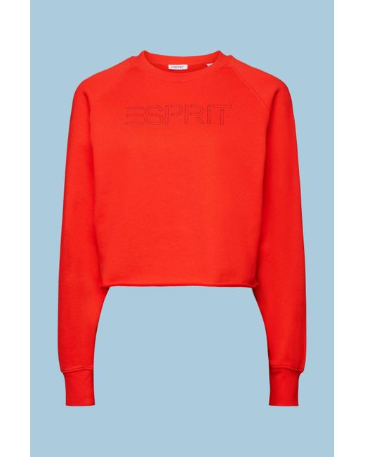 Esprit Cropped Sweatshirt Met Logo in het Red