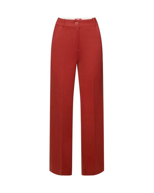 Pantalon de coupe Straight Fit en jersey punto Esprit en coloris Red