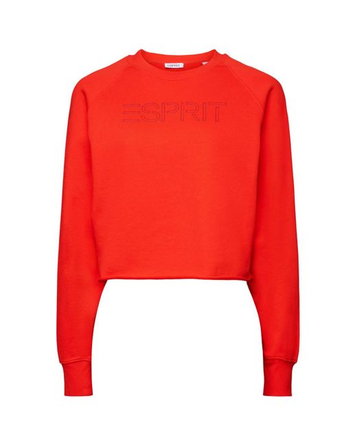 Esprit Cropped Sweatshirt Met Logo in het Red
