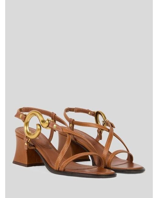 Etro Brown Sandals With Paisley Detail