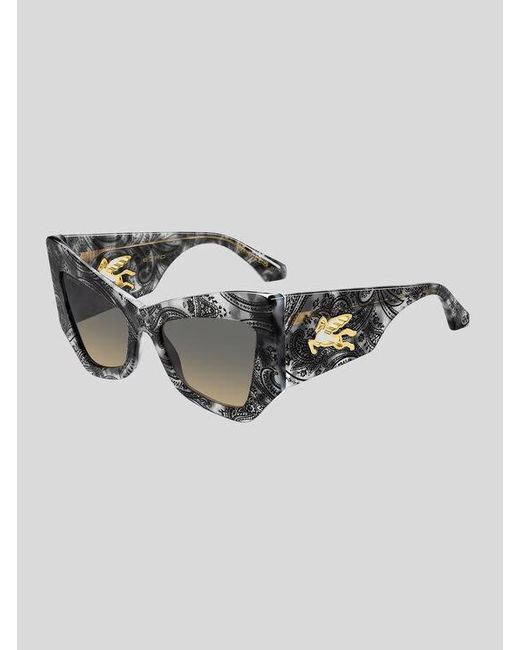 Etro Gray Sunglasses
