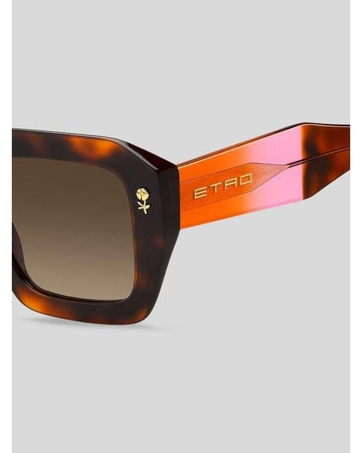 Etro Brown Colour Stripes Sunglasses