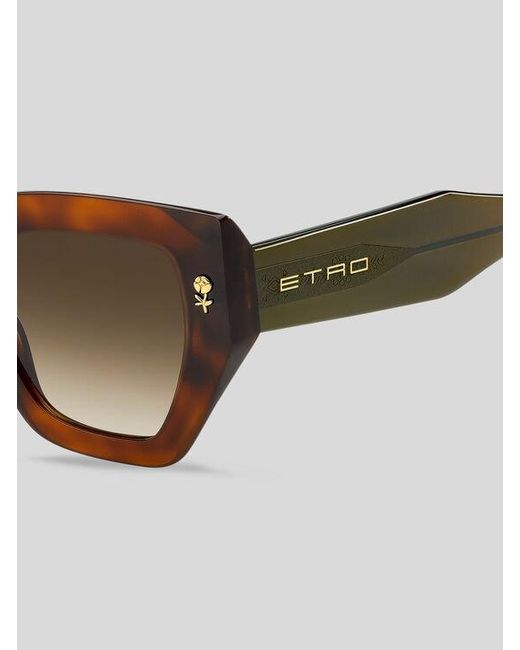 Etro Brown Colour Stripes Sunglasses