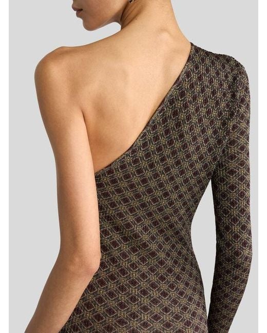 Etro Brown Ribbed Long Dress With Micro Diamond Motif