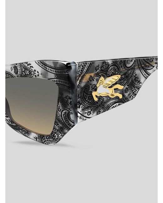 Etro Gray Sunglasses