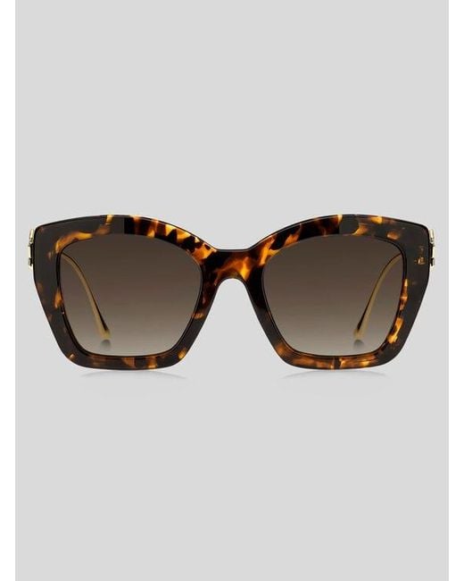 Etro Brown Bold Pegaso Sunglasses