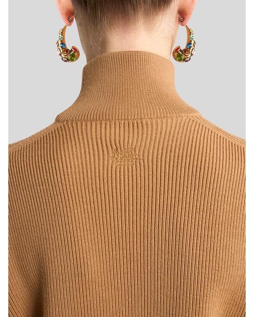 Etro Brown Ribbed Wool Sweater