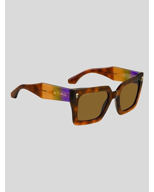 Etro Brown Colour Stripes Sunglasses