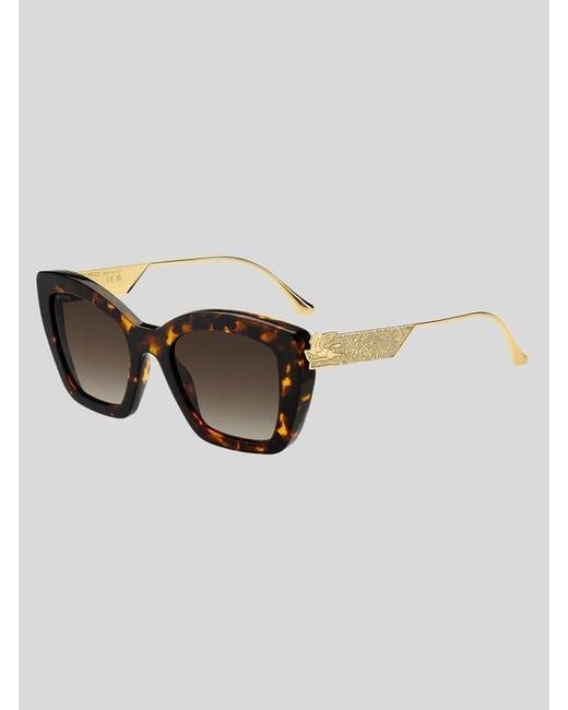 Etro Brown Bold Pegaso Sunglasses
