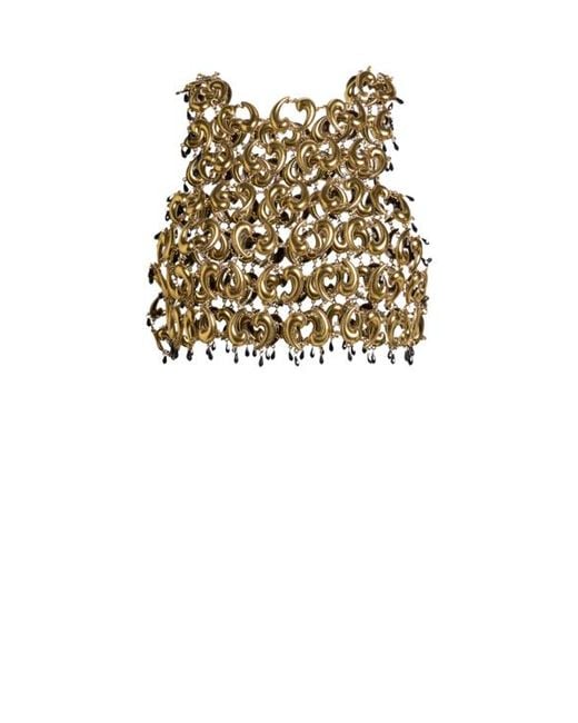 Etro Metallic Crop Top With See-Through Metal Paisley Details