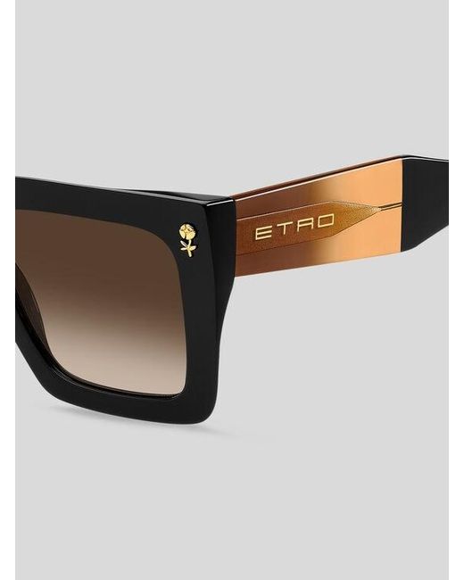 Etro Brown Colour Stripes Sunglasses
