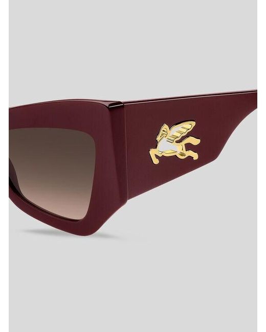 Etro Brown Sunglasses