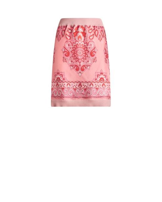 Mini-Jupe En Maille Imprimée, Femme, Taille Etro en coloris Pink