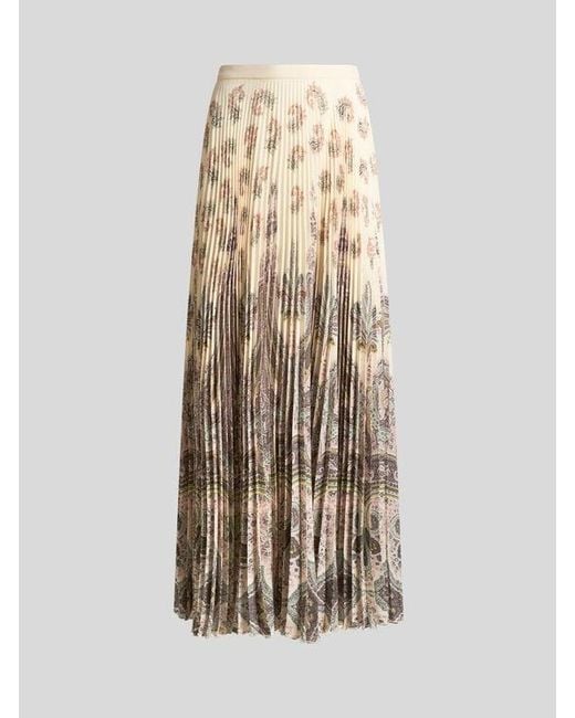 Etro Natural Pleated Maxi Skirt With Placed Print
